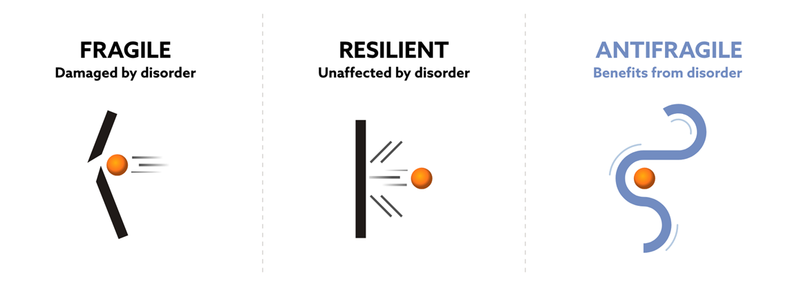 antifragile.png